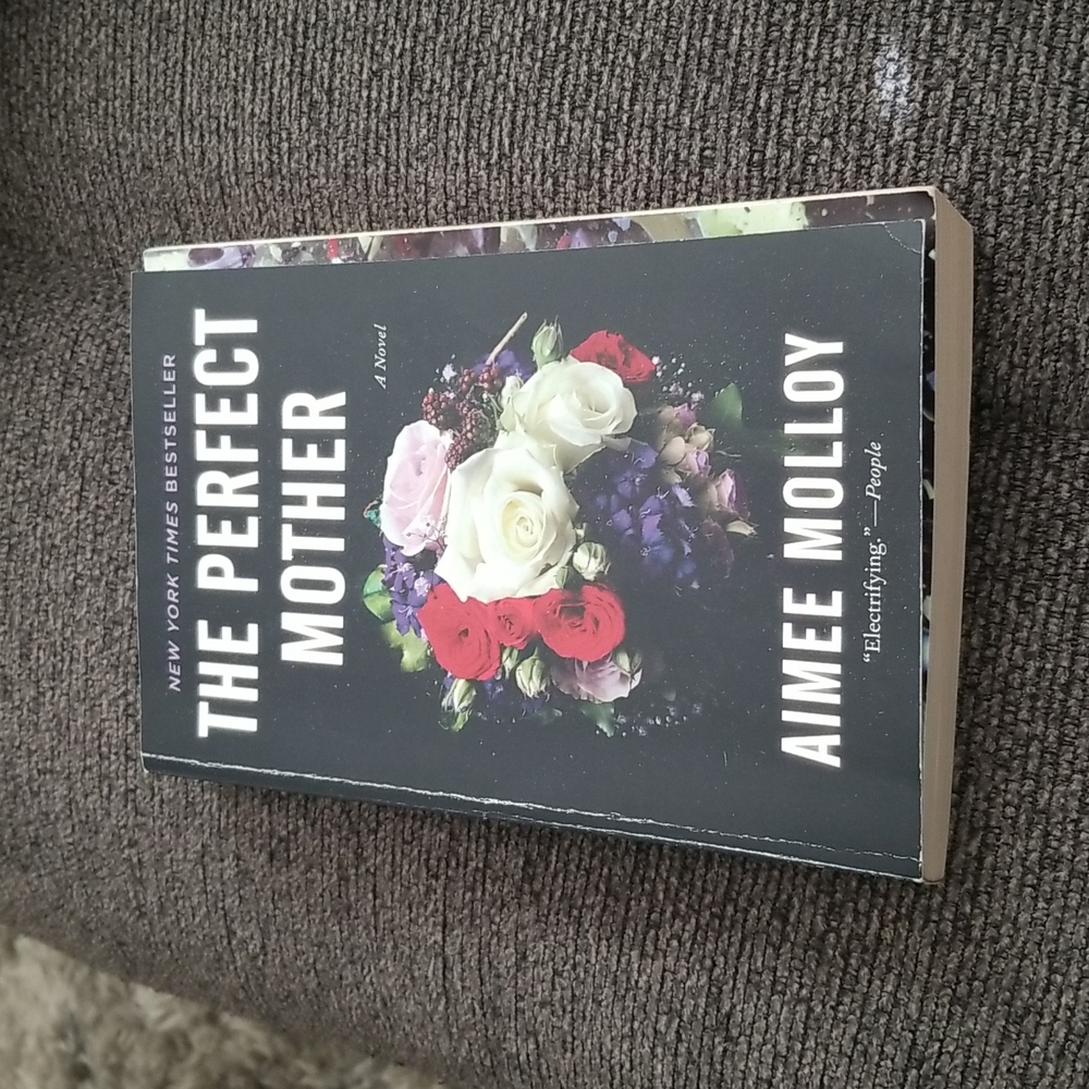 The perfect mother by Aimee Molloy